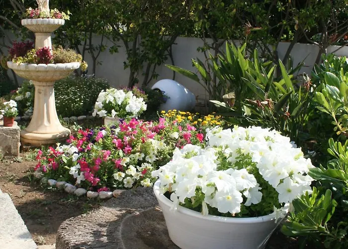 Готель Panorama Польєнса